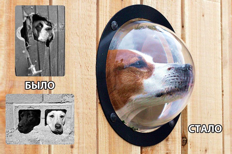 Окно для собаки Pet Peek Dog Window