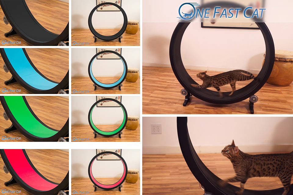 Тренажер One Fast Cat для котэ